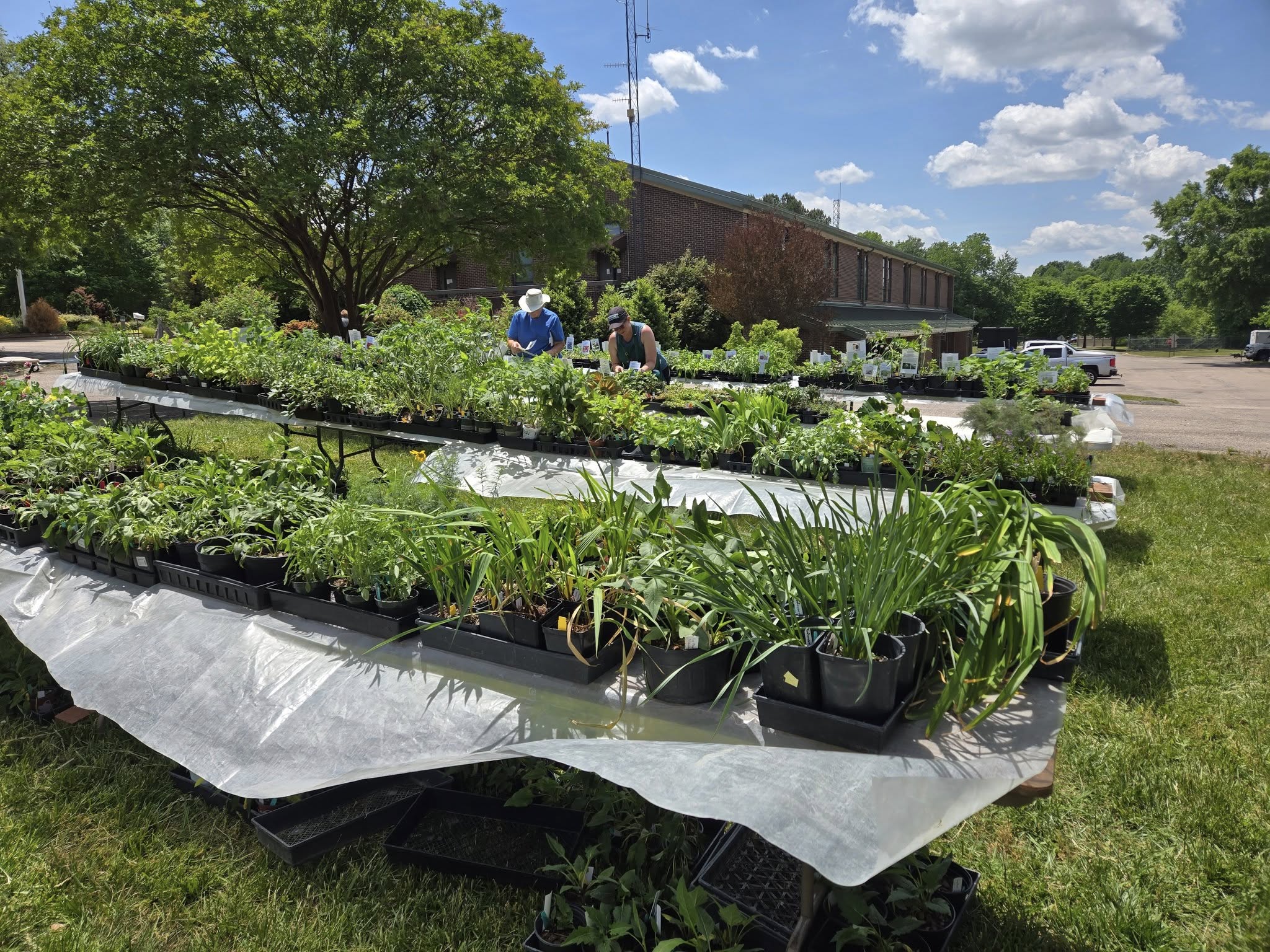 Rowan Master Gardeners Annual Plant Sale – Extension Master Gardener ...